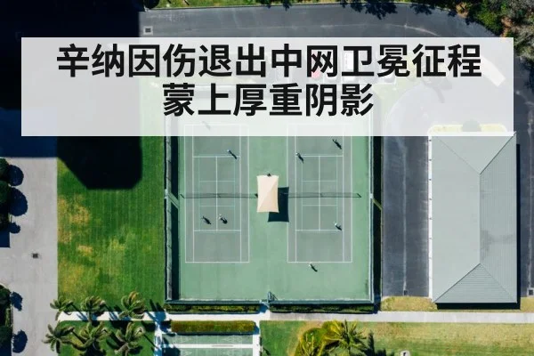 辛纳因伤退出中网卫冕征程蒙上厚重阴影