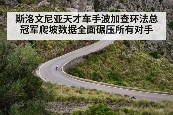 斯洛文尼亚天才车手波加查环法总冠军爬坡数据全面碾压所有对手