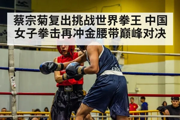 蔡宗菊复出挑战世界拳王 中国女子拳击再冲金腰带巅峰对决